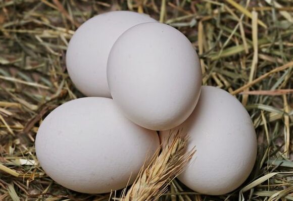דיאטת הביצים כוללת אכילת ביצי תרנגולת מדי יום. 